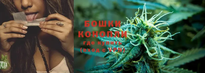 Бошки Шишки White Widow  ОМГ ОМГ сайт  Новодвинск 